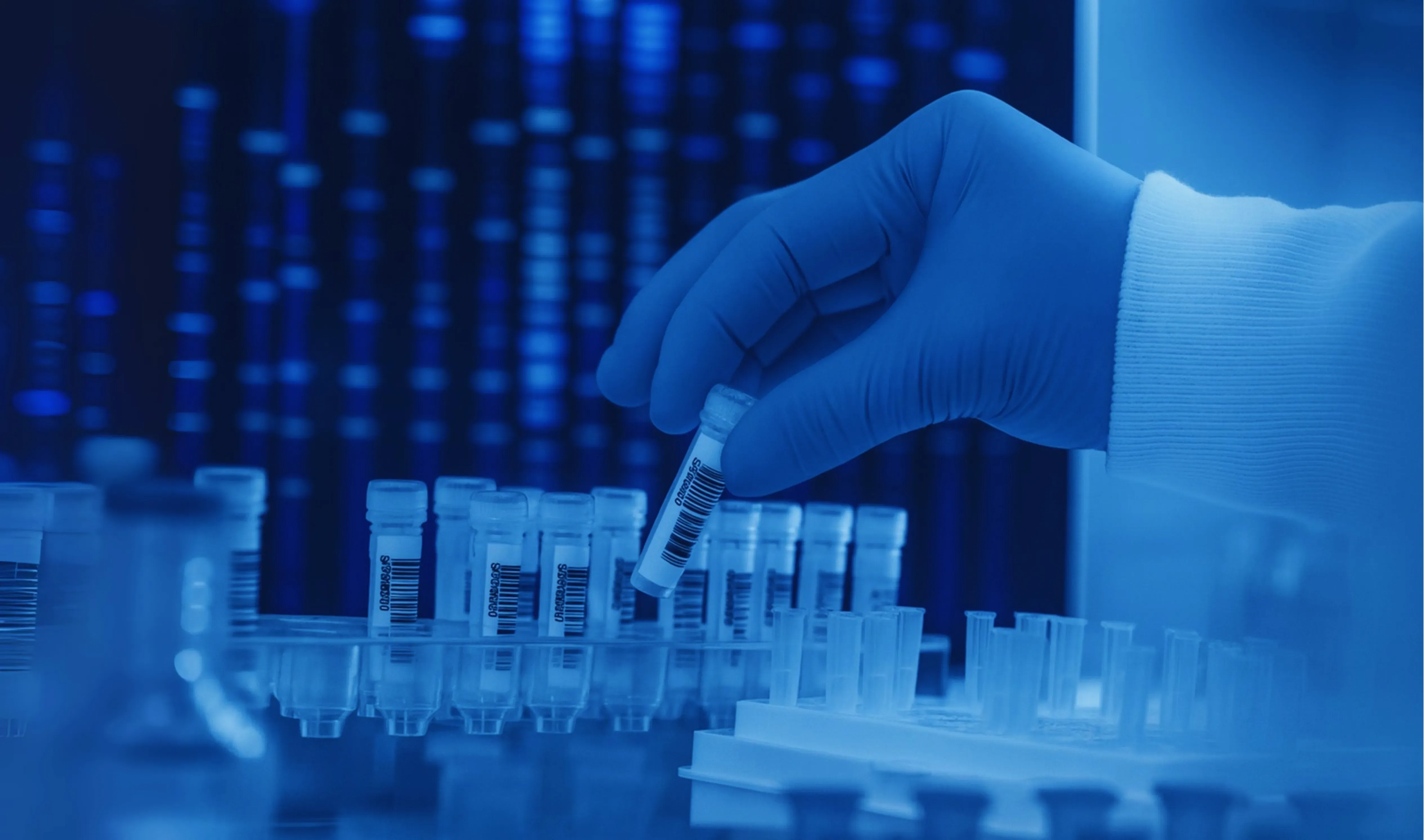 صورة النطاق