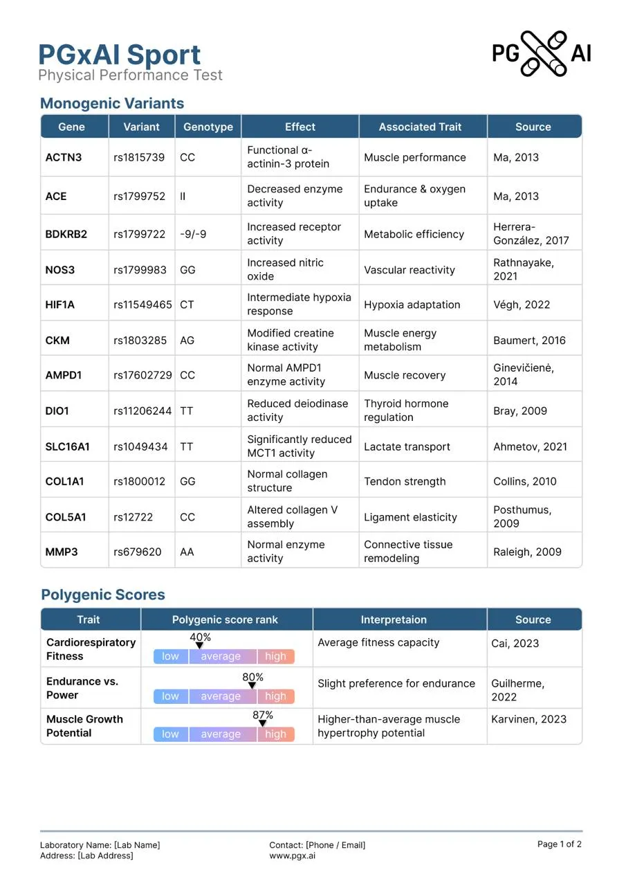 report example